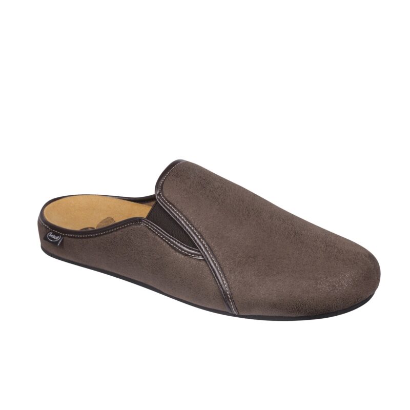 felce scholl f267151019 31